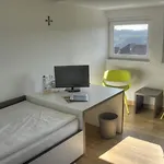 Rosa Flesch Und Tagungszentrum Hotel Waldbreitbach