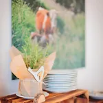 Hotel Rosa Flesch Und Tagungszentrum