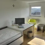 Hotel Rosa Flesch Und Tagungszentrum Waldbreitbach