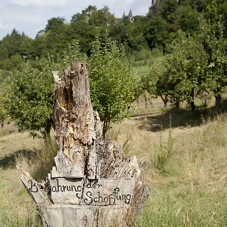 فندق Rosa Flesch Und Tagungszentrum