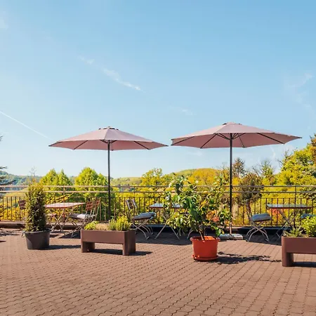 Hotel Rosa Flesch Und Tagungszentrum 2*