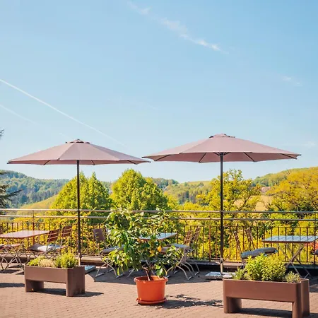 Rosa Flesch Und Tagungszentrum Hotel Waldbreitbach