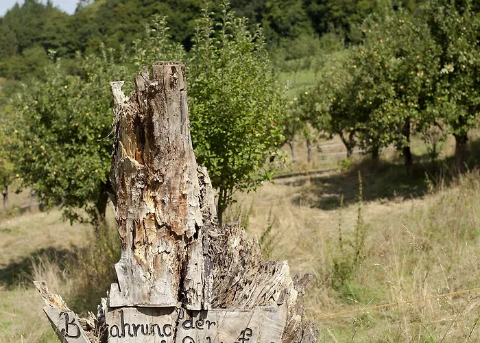 Hotel Rosa Flesch Und Tagungszentrum