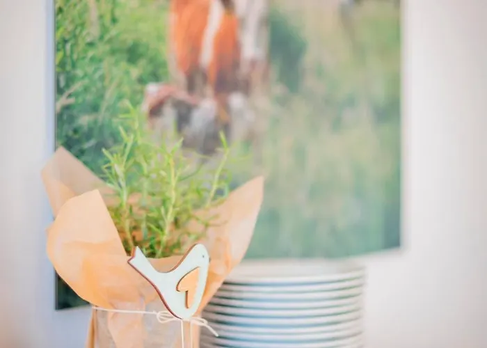 Hotel Rosa Flesch Und Tagungszentrum